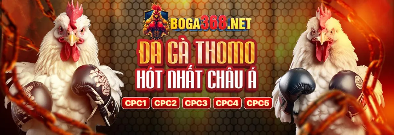 Đá gà trực tuyến 55vin link vào